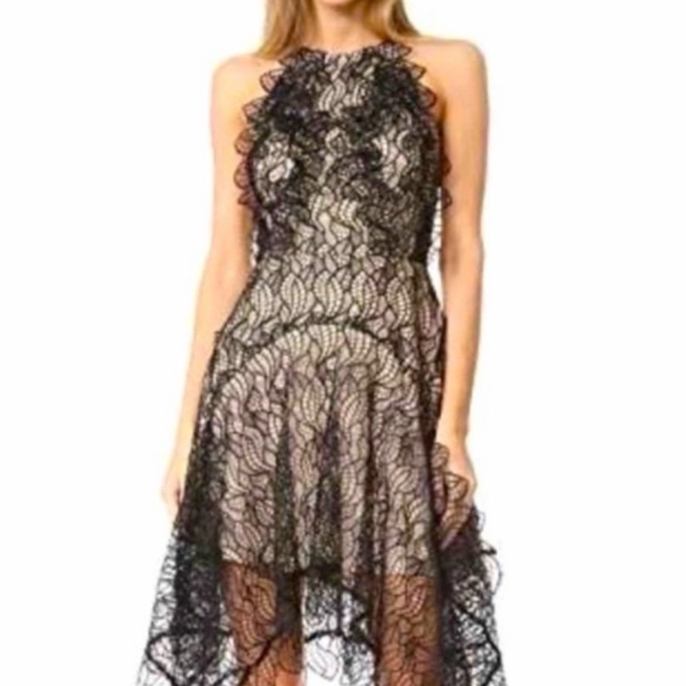 Acler Burton Lace Dress-AU 10, US 6 New With Tags - Picture 4 of 5